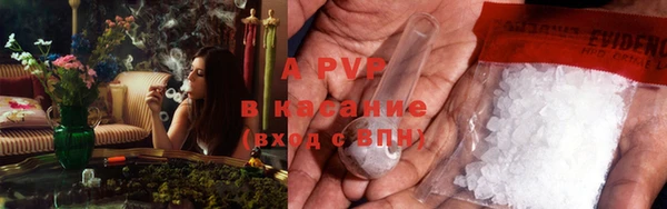 прущая мука Бородино