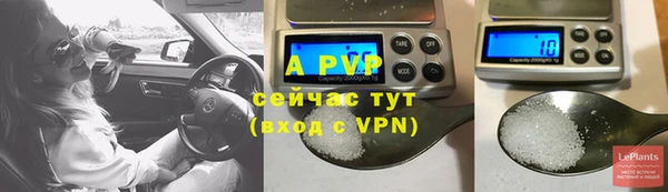 ПСИЛОЦИБИНОВЫЕ ГРИБЫ Верхний Тагил