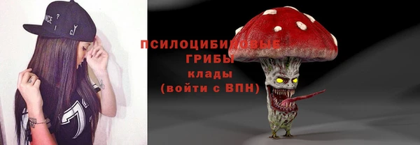 винт Бронницы