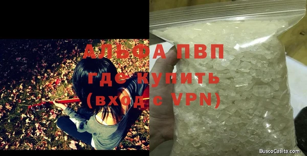 ПСИЛОЦИБИНОВЫЕ ГРИБЫ Верхний Тагил