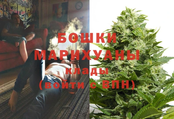 винт Бронницы