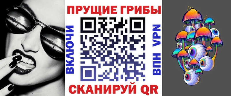 MEGA как зайти Дмитров Галлюциногенные грибы Cubensis