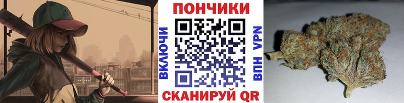 Канабис план Дмитров